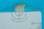 Fig 7. Rubber dam on right central incisor, in place for 5 minutes.