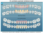 Figure 6  PTC Dental Anatomy Guide. Used with permission from Productivity Training Corporation, Morgan Hill, CA.