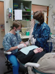 Figure 2  Two primary working postures for the dental assistant: seated and standing.