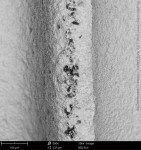 Fig 6. Organic particles (polysiloxanes) on the surface of a titanium implant immediately following removal from the manufacturer’s packaging (SEM 500x).